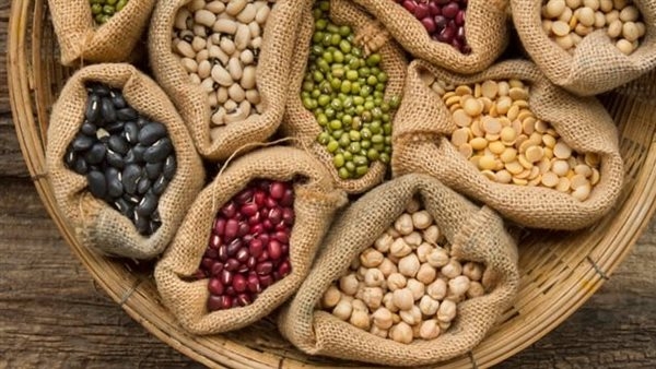 أسعار البقوليات بالغربية اليوم الأربعاء 28 مايو 2025