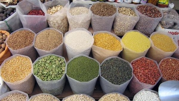 أسعار البقوليات في البحر الأحمر اليوم الخميس 13 مايو 2025