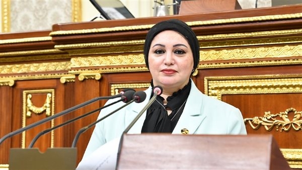 هل هناك استثناءات للشركات في تطبيق الحد الأدنى للأجور؟.. النواب يجيب