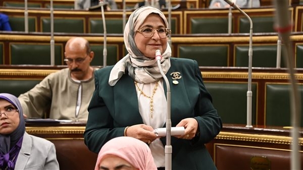 النائبة هناء سرور: مشروع قانون مزاولة مهنة الصيدلة إنجاز تاريخى