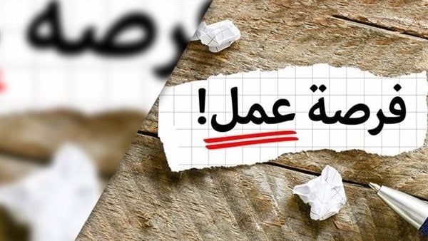 فرص عمل لأصحاب المؤهلات العليا.. الشروط والتخصصات المطلوبة