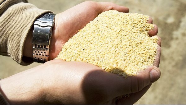 أسعار الأعلاف في مصر اليوم الإثنين 6 مايو 2025 في الأسواق