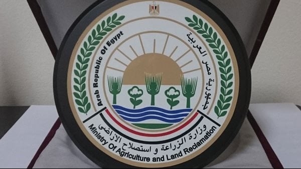 "الزراعة" تنفذ دورة تدريبية لمديري الإدارات حول تطبيقات الذكاء الاصطناعي