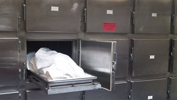 استدرجه وضربه حتى الموت.. عاطل يقتل صديقة طمعا في "توك توك" بالقليوبية
