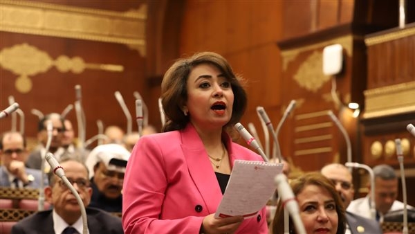 رشا إسحق: تصريحات ترامب عن قناة السويس غطرسة غير مقبولة
