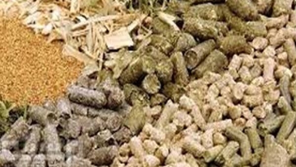 "الإقليمي للأغذية والأعلاف": تحليل أكثر من 1200عينة وتسجيل 245 مركبا
