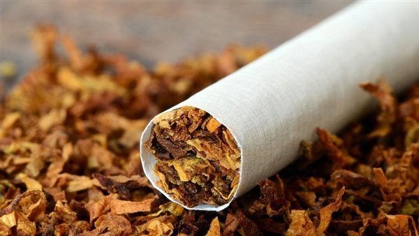 الصحة تحذر: التبغ المسخن يحتوى على مواد سامة أكثر من السجائر