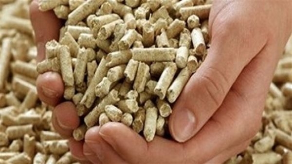 أسعار الأعلاف اليوم الخميس 24 أبريل 2025 في الأسواق المصرية