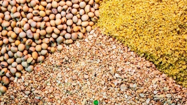 تحليل 871 عينة متنوعة من أعلاف الدواجن والأسماك والأرانب