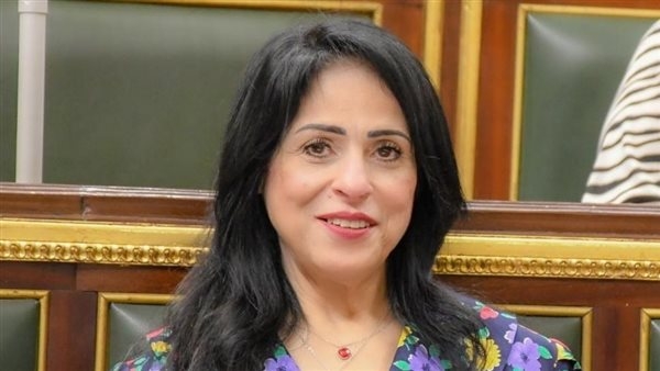 ميرال الهريدي: الدولة تقدم كافة الآليات التي تضمن تخفيف الأعباء عن المواطنين