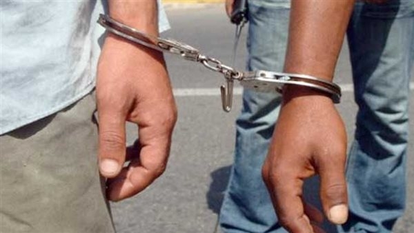 ضبط شخصين بالجيزة لاتجارهما بالعقاقير المخدرة بـ4 مليون جنيه