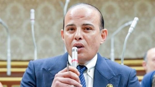 النائب عمرو القطامى: التنسيق المشترك بين مصر والاتحاد الأوروبي يهدف لعودة الهدوء والاستقرار للمنطقة
