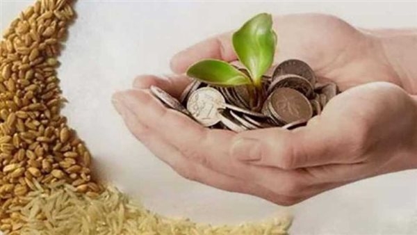 الإفتاء تحدد زكاة الفطر لعام 2025.. وموعد الإخراج وشروط الوجوب