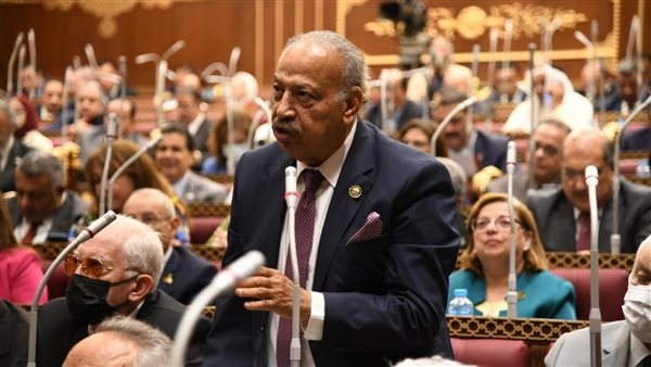 النائب هانى العسال: لا بد من تعزيز التكامل بين القطاعين العام والخاص