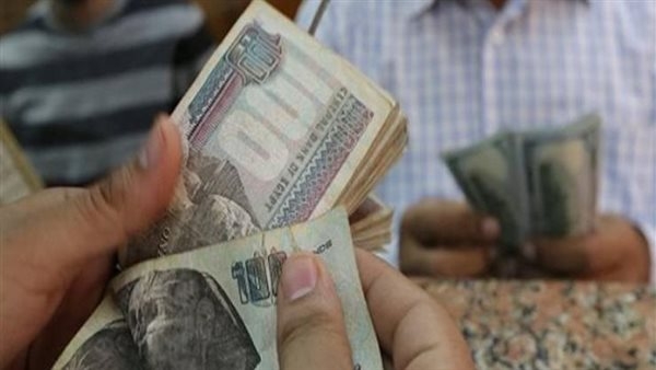بسمة جميل: قانون العلاوات والحوافز الجديد دفعة قوية لتحسين أجور العاملين بالدولة