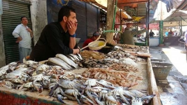 بينهم بطارخ البورى والمرجان والبربون.. اسعار الجملة لكافيار الغلابة بسوق العبور