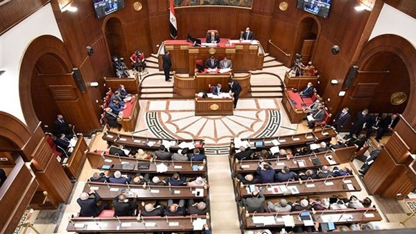 مجلس الشيوخ يعلن خلو مقعد النائب حاتم حشمت