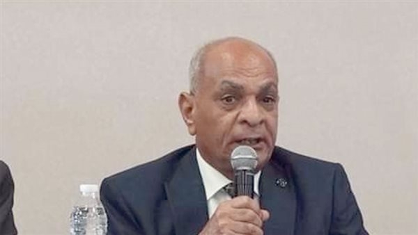 حزب الريادة: تقسيم الدوائر خطوة ضرورية لتمثيل عادل للمدن الجديدة بالبرلمان