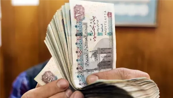 تنفيذا لتوجيهات الرئيس السيسي.. زيادة في الأجور وتعينات جديدة خلال أيام