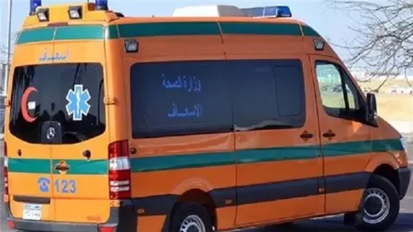 إصابة طالبين في مشاجرة داخل مدرسة خاصة بالوراق