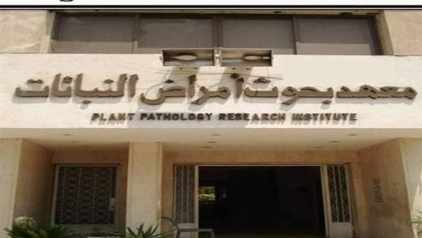 معهد بحوث أمراض النباتات يستعرض التوصيات الفنية لمحاصيل الفاكهة خلال مارس الجارى