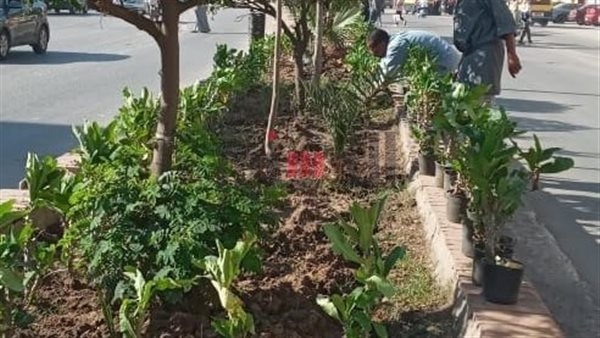 انطلاق فعاليات البرنامج التدريبي حول "الأهمية البيئية والاقتصادية للأشجار الخشبية"
