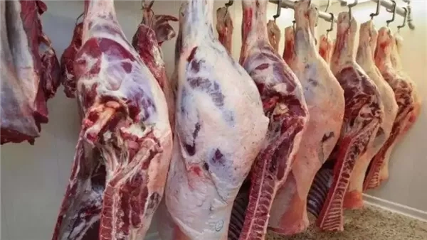 استعدادًا لعيد الأضحى.. تعرف على أسعار اللحوم والدواجن بالتموين (خاص)