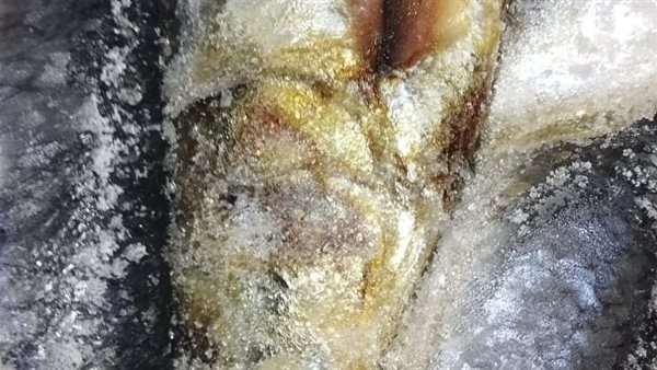 ضبط 25 طن منتجات غذائية و5000 عبوة عصير فاسدة فى حملة مكبرة بالغربية