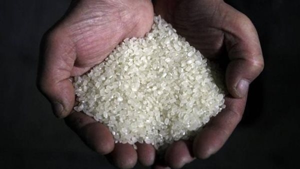 سعر طن الأرز الشعير في الأسواق المصرية اليوم الإثنين 24 مارس 2025