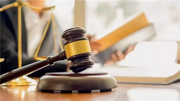 لمرافعة النيابة.. غدا استكمال محاكمة 46 متهما بقضية "خلية العجوزة الثانية"