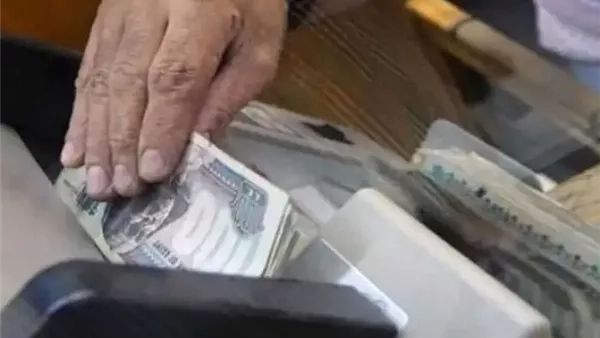 خطوات الاستعلام عن معاشات يوليو 2025.. وتفاصيل الزيادة السنوية الجديدة