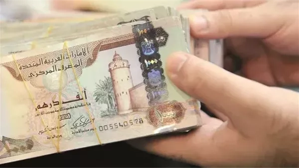 سعر الدرهم الإماراتي مقابل الجنيه المصري اليوم الأربعاء 28 مايو 2025