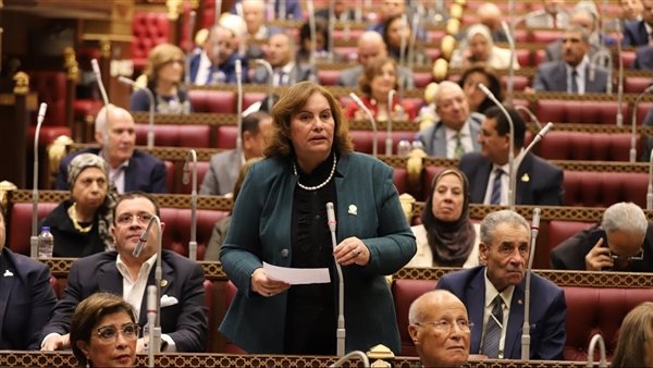 النائبة عايدة نصيف: مصر ملتزمة بمسؤوليتها تجاه القضية الفلسطينية