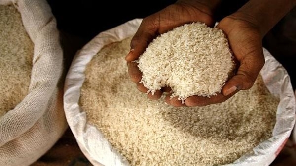 سعر طن الأرز الشعير اليوم الجمعة 14 فبراير 2025 في مصر