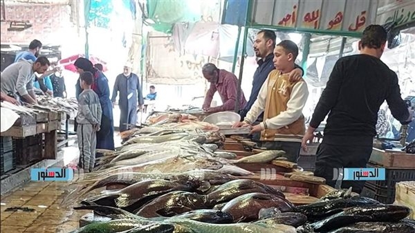 أسعار السمك السويسي والمأكولات البحرية اليوم الخميس 27-2-2025
