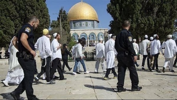 نائب: اقتحام الأقصى انتهاك صارخ وخرق واضح لجميع الاتفاقيات