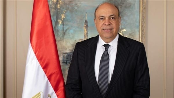 وزير الطيران: مصر قطعت خطوات نحو توطين إنتاج الوقود المستدام للطيران