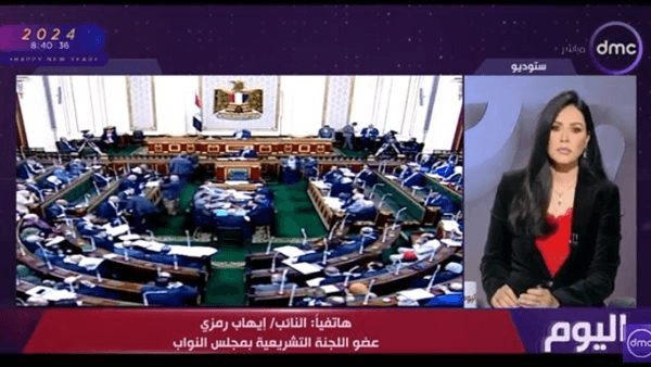 برلماني يؤكد ضرورة توفير وحدات سكنية للفئات الأكثر احتياجًا (فيديو)