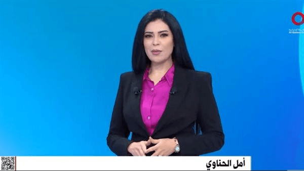 أمل الحناوي: مصر تواصل تحركاتها الدبلوماسية لتنفيذ كافة بنود وقف إطلاق النار