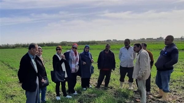 "المركزية للإرشاد الزراعي" تنفذ مجموعة من الأنشطة الزراعية في المحافظات