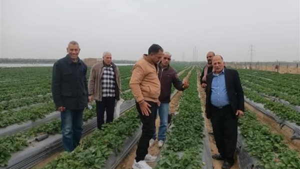 «بحوث الصحراء» يكشف تفاصيل مشروعات قومية لحماية الأراضي واستعادة التوازن البيئي