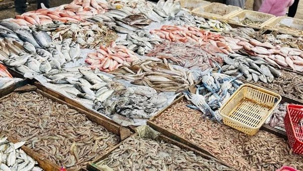 أسعار الأسماك والمأكولات البحرية في الدقهلية اليوم الأربعاء 7 مايو