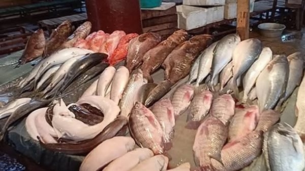 أسعارالأسماك المجمدة في سوق العبور اليوم السبت 17 مايو 2025