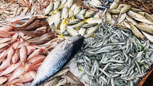 اليوم الثلاثاء.. اعرف اسعار المأكولات البحرية بمحافظة الإسكندرية