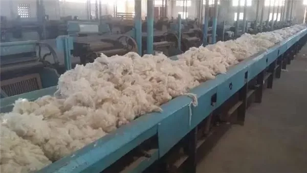 التفاصيل الكاملة لخطة تطوير محالج القطن في مصر
