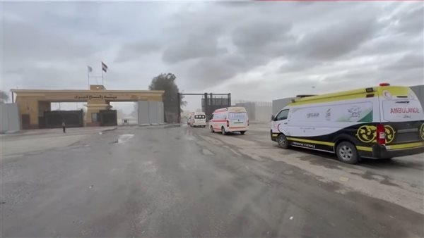 الهلال الأحمر: إرسال 12 سيارة إسعاف مجهزة لقطاع غزة