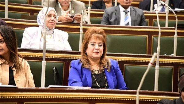 طلب إحاطة للحكومة بسرعة الإفراج عن سيارات ذوى الاحتياجات الخاصة