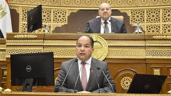 برلماني: جولة الرئيس السيسي الخليجية تدعم الاقتصاد المصري من الصدمات العالمية