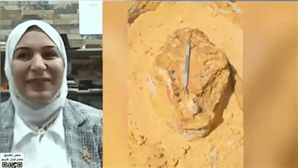 "آكلات لحوم".. باحثة تكشف تفاصيل الاكتشاف العالمي الجديد لمركز الحفريات الفقارية بجامعة المنصورة