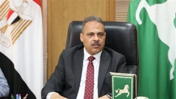 تنفيذ أعمال الرصف الجارية بكوبري الممر وطريق السعدية بالشرقية